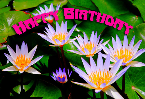 Funny birthday greetings for women
